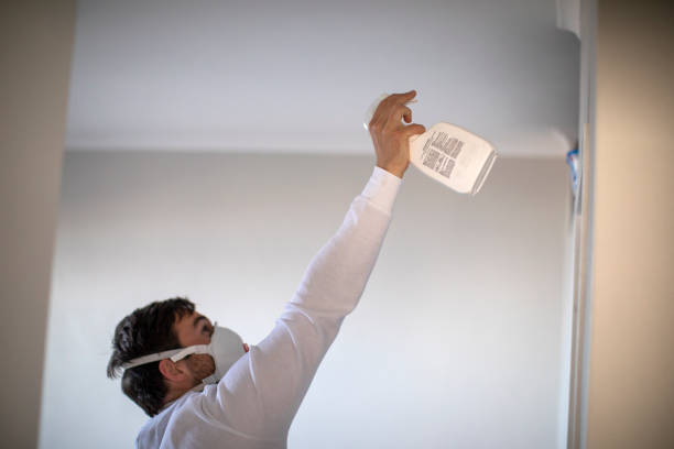 Best Basement Mold Remediation in Lake Ripley, WI